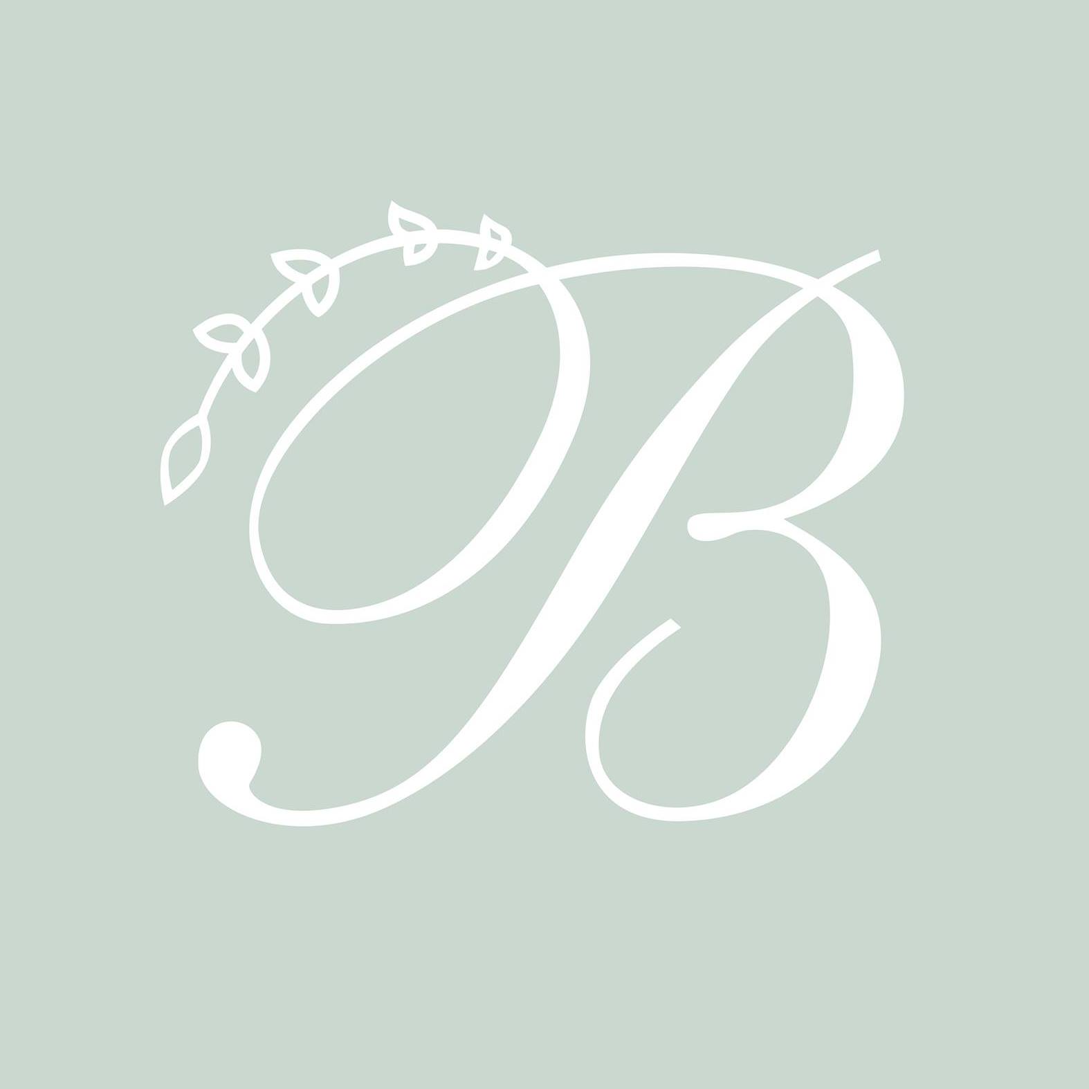 Baby Beau & Belle Promo Codes Mar 2025