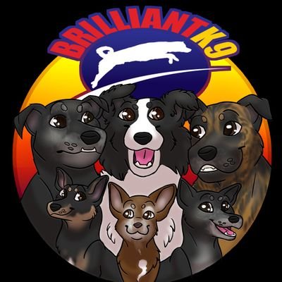 BrilliantK9 Promo Codes Sep 2024