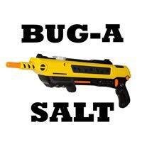 Bug A Salt