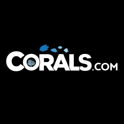 Corals Promo Codes Jan 2025