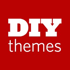 DIYthemes logo