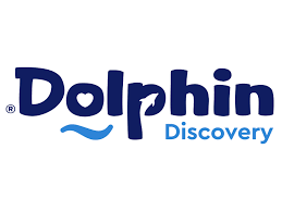 Dolphin Discovery