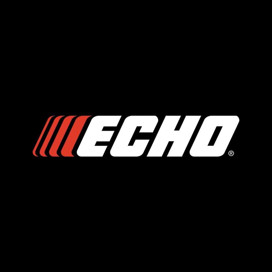 Echo Promo Codes Jan 2025