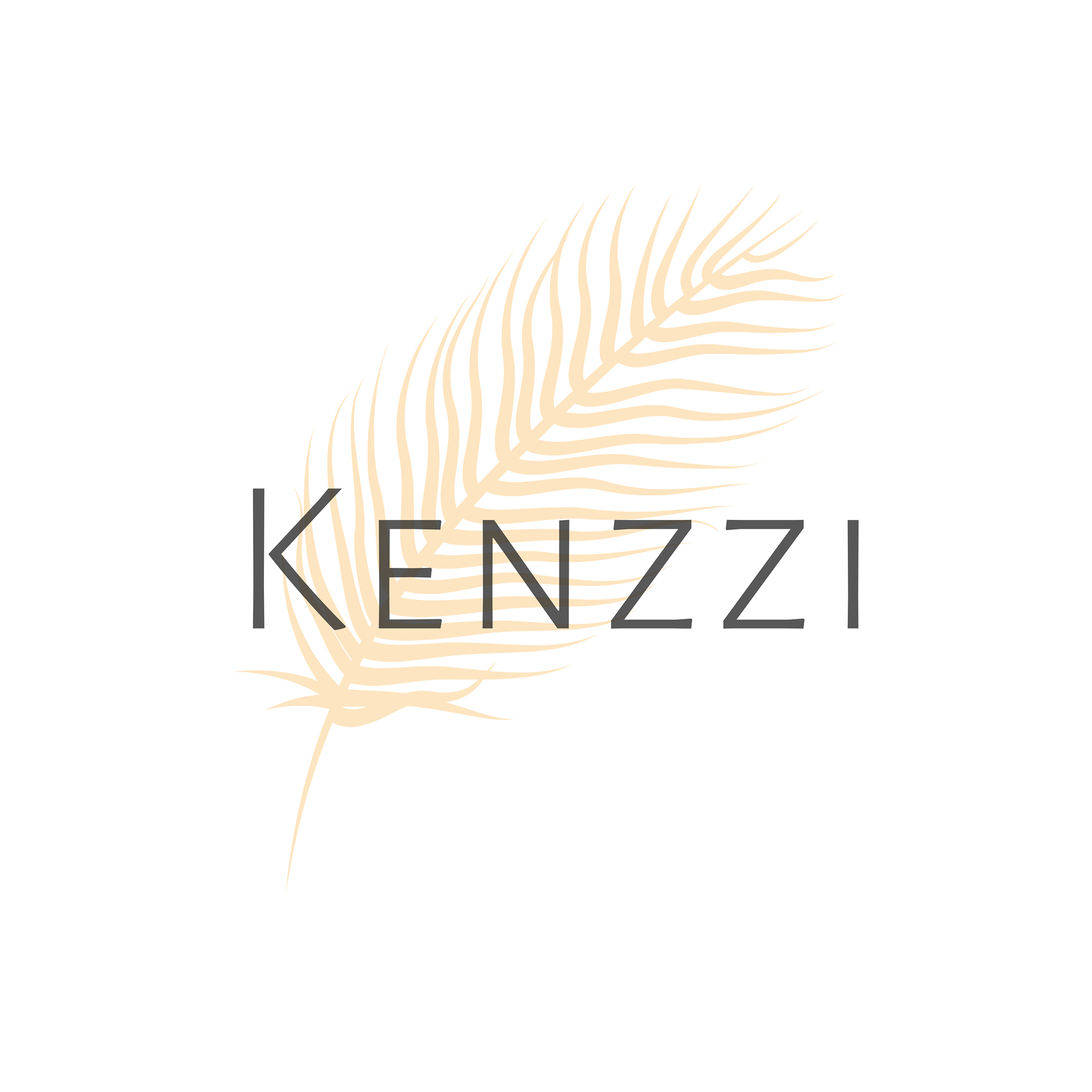 Kenzzi