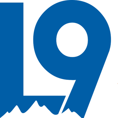 Level Nine Sports logo