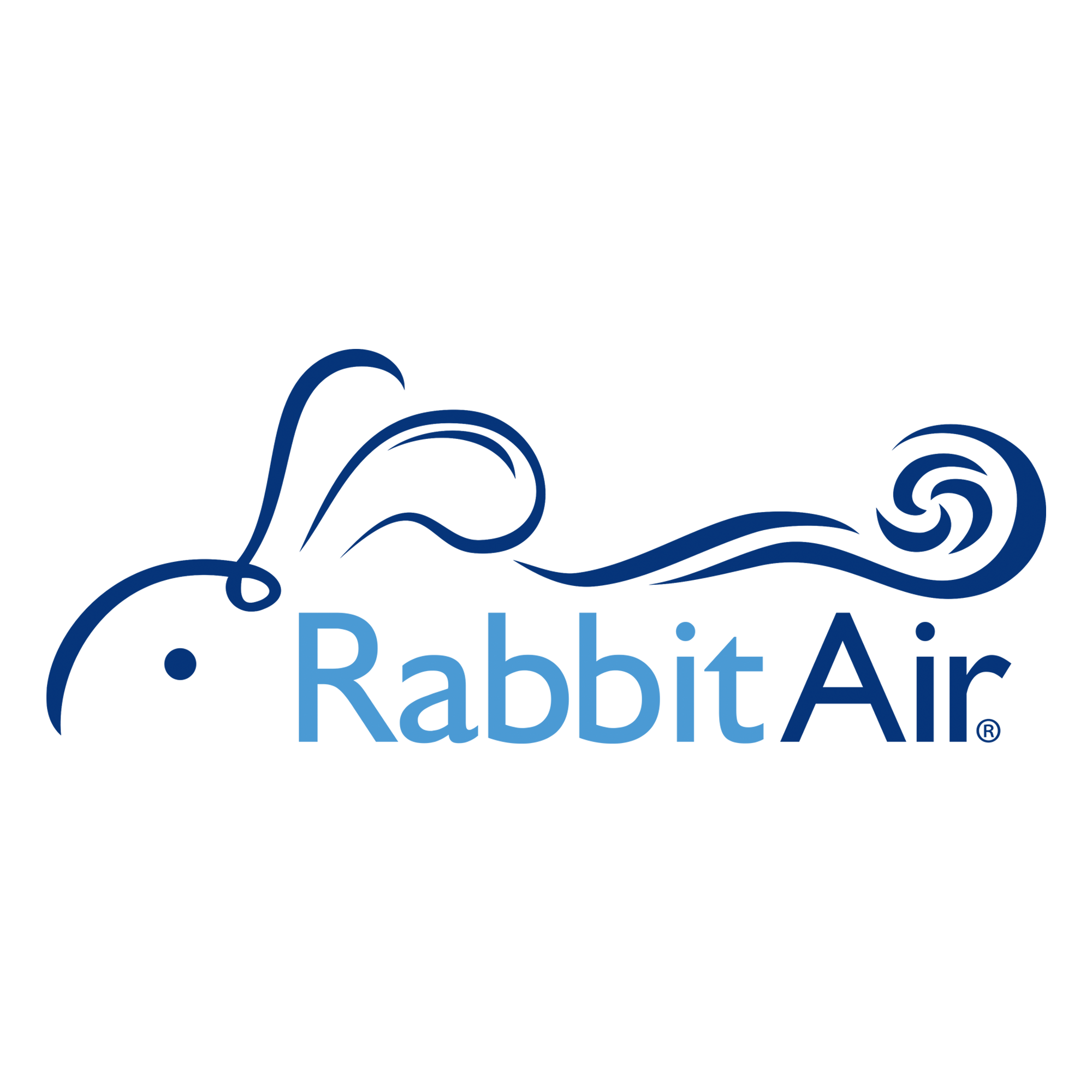 rabbitair Promo Codes Mar 2025