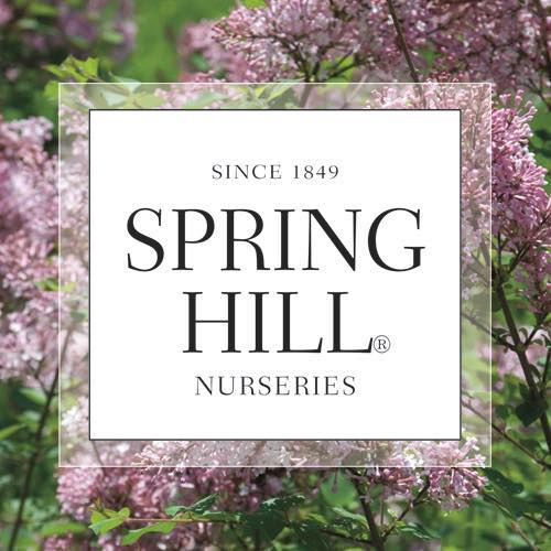 Spring Hill Nurseries Promo Codes Jan 2025