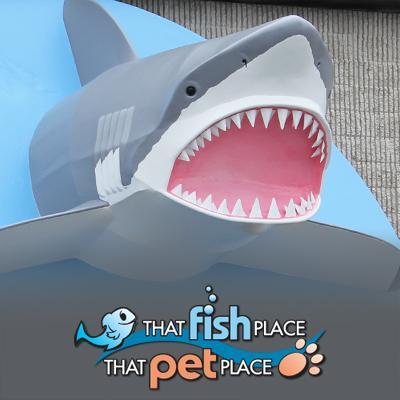 That Pet Place Promo Codes Feb 2025