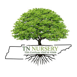 TN Nursery