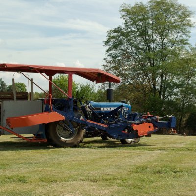 Zoysia Farms